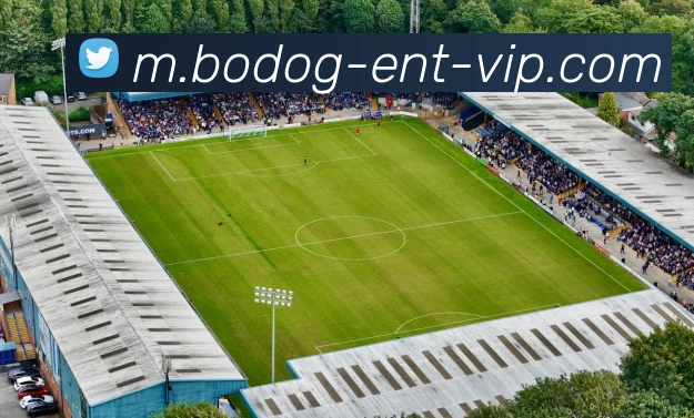 博狗体育平台生态图